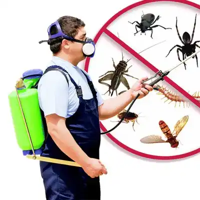 pest control Sumrall
